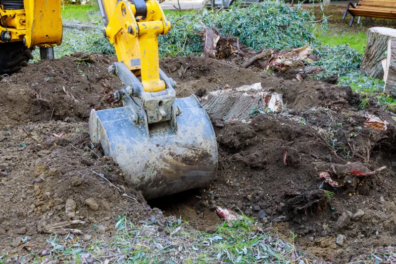 Mini excavator clearing tree stumps, roots, and brush during land clearing on a lot near Shelbyville, Indiana