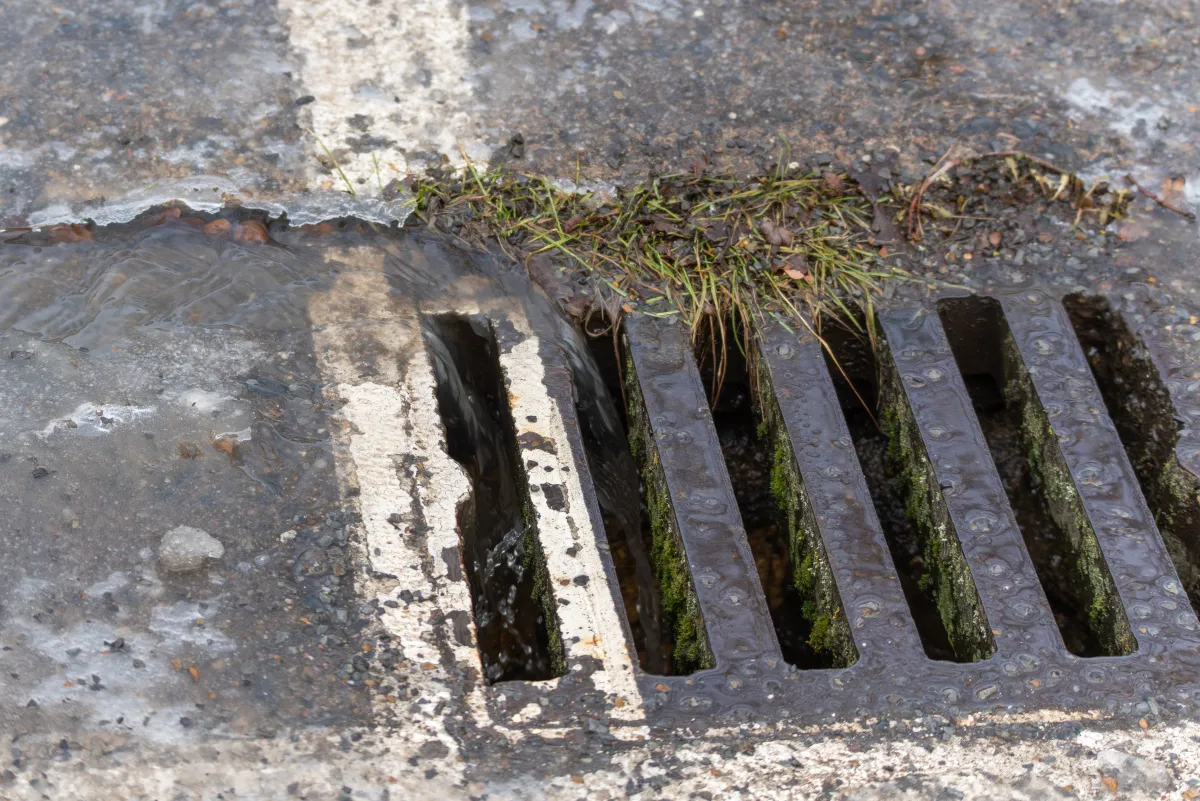 Roadside drain grate carrying runoff after rain in central Indiana